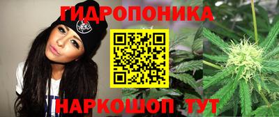 spice Азнакаево