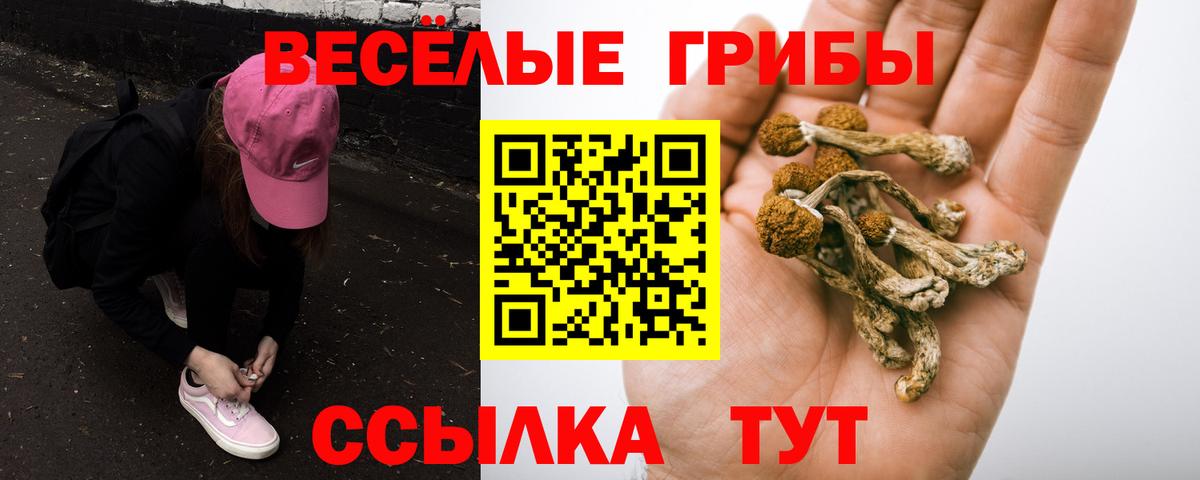 Галлюциногенные грибы ЛСД  Вход с VPN  Александров  Галлюциногенные грибы MAGIC MUSHROOMS 